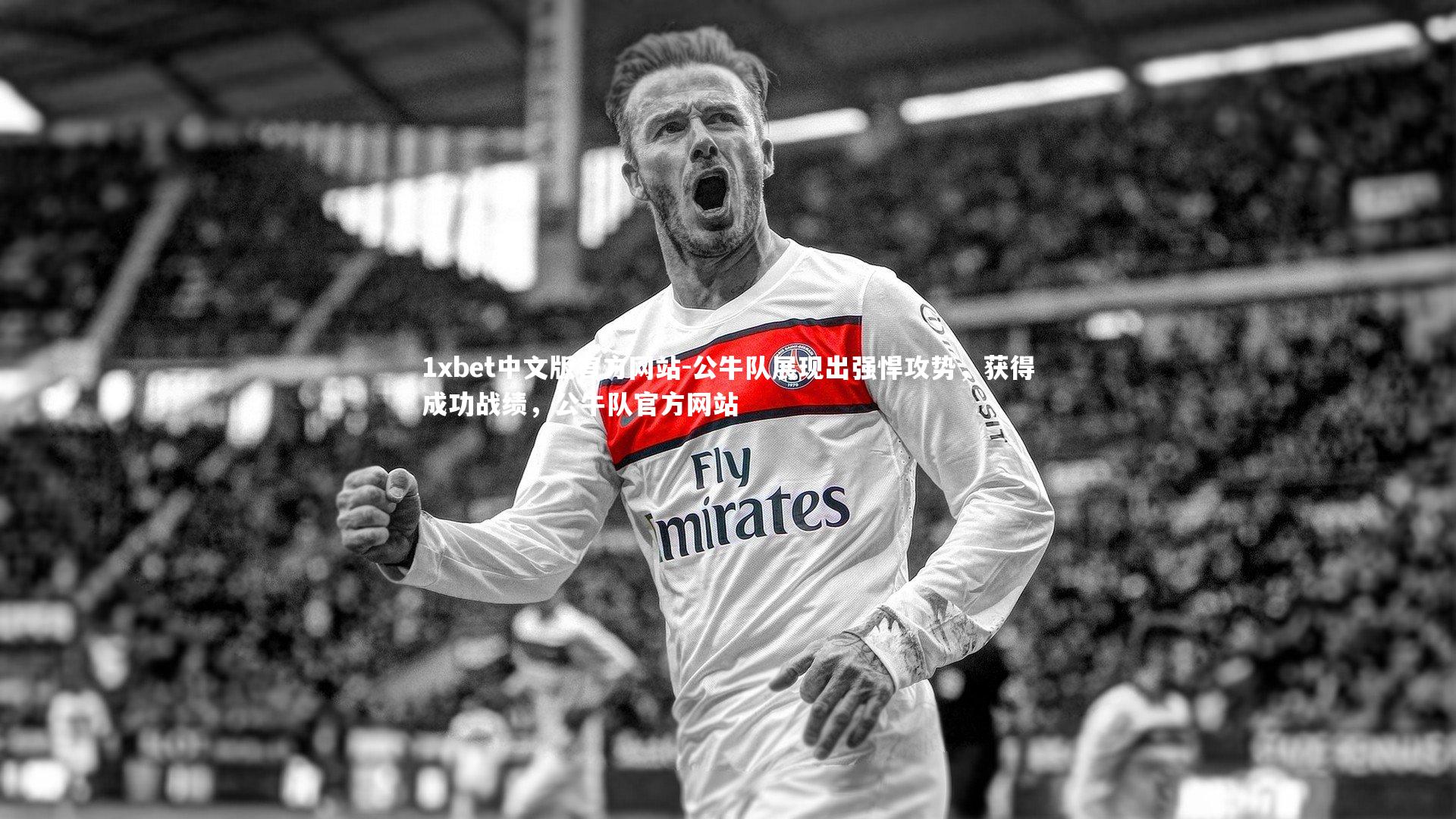 公牛队展现出强悍攻势，获得成功战绩，公牛队官方网站